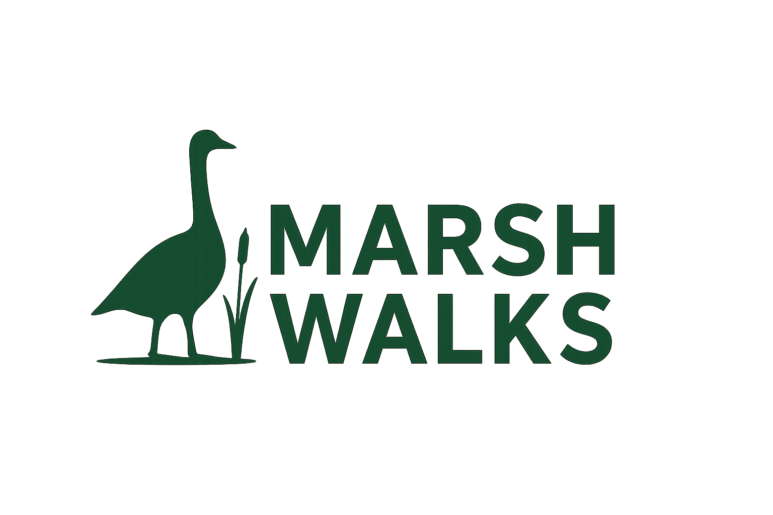 Marsh Walks